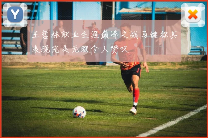 王哲林职业生涯巅峰之战马健称其表现完美无瑕令人赞叹